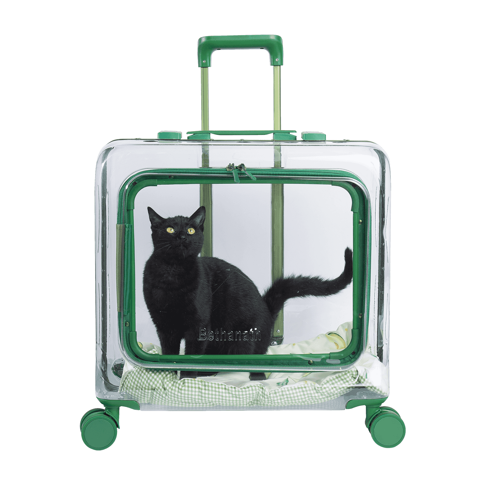 Pet Carrier Bag: isang Portable Pet Travel Assistant